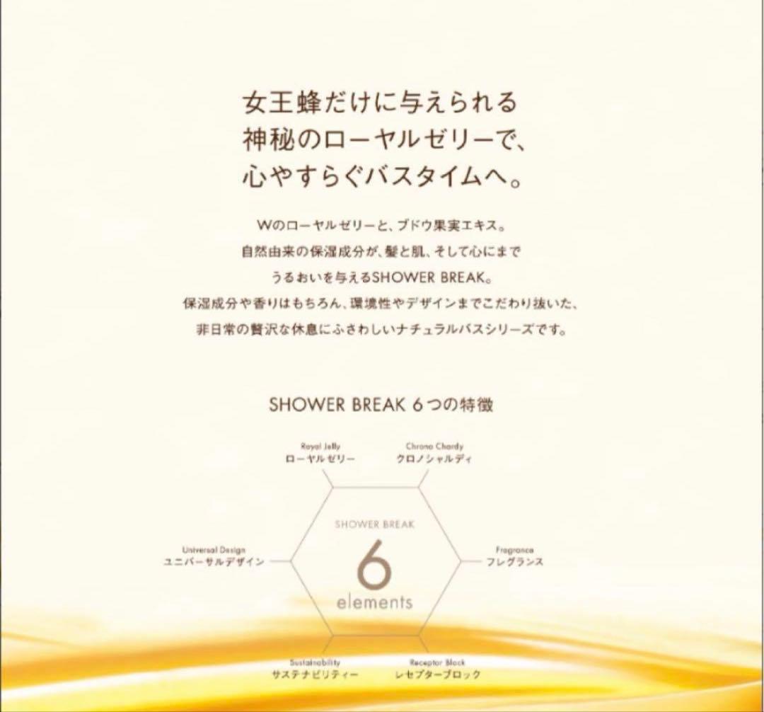 【新品】POLA シャワーブレイク コンディショナー　10L