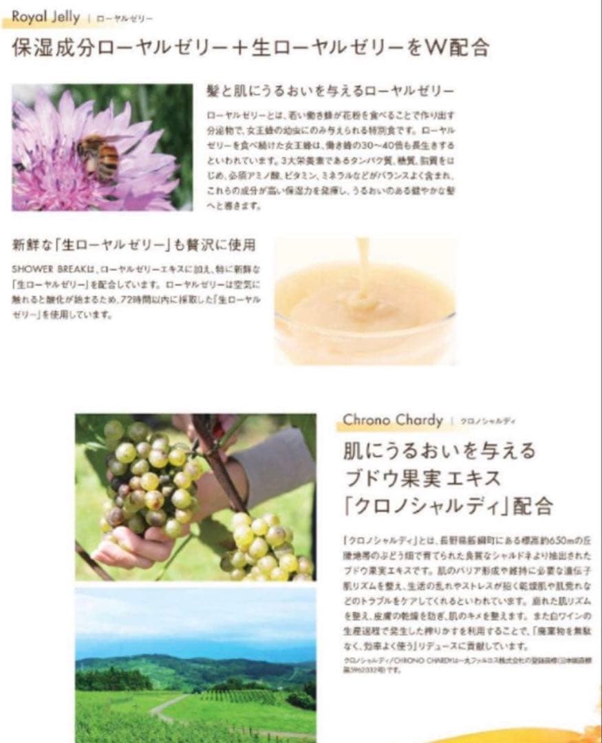 【新品】POLA シャワーブレイク コンディショナー　10L