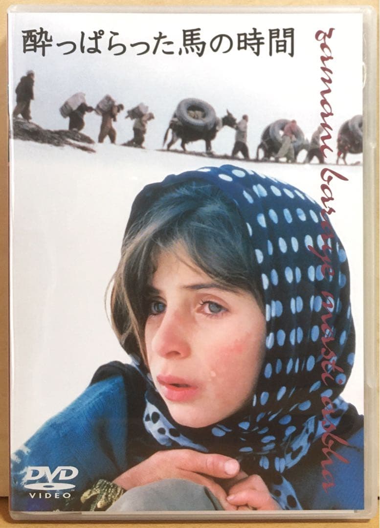 バフマン・ゴバディ『酔っぱらった馬の時間』('00イラン) DVD＋フライヤー