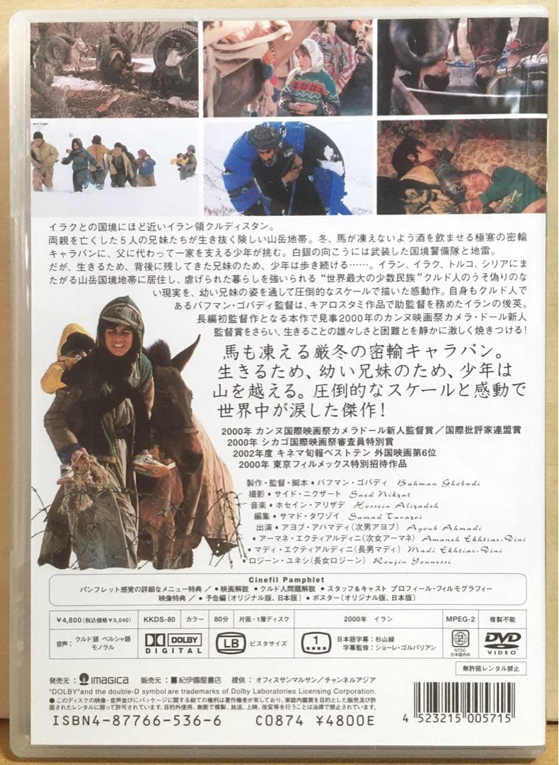 バフマン・ゴバディ『酔っぱらった馬の時間』('00イラン) DVD＋フライヤー