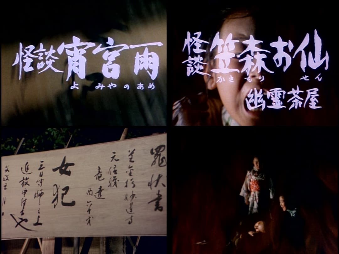 日本　怪談劇場　【情念編】・【怨念編】　全１１作　DVD全１１巻セット