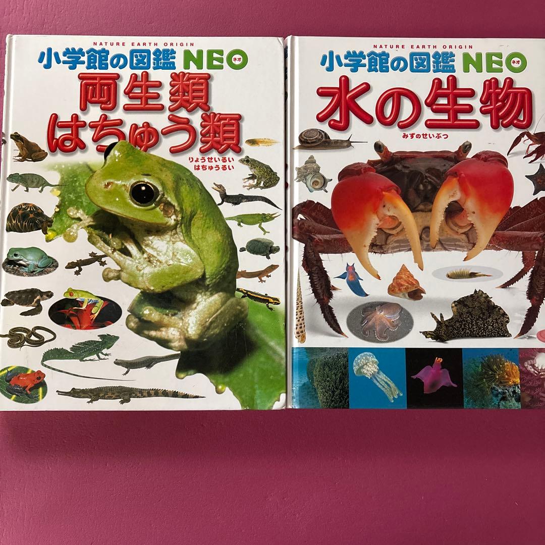 小学校の図鑑NEO 生物セット9冊