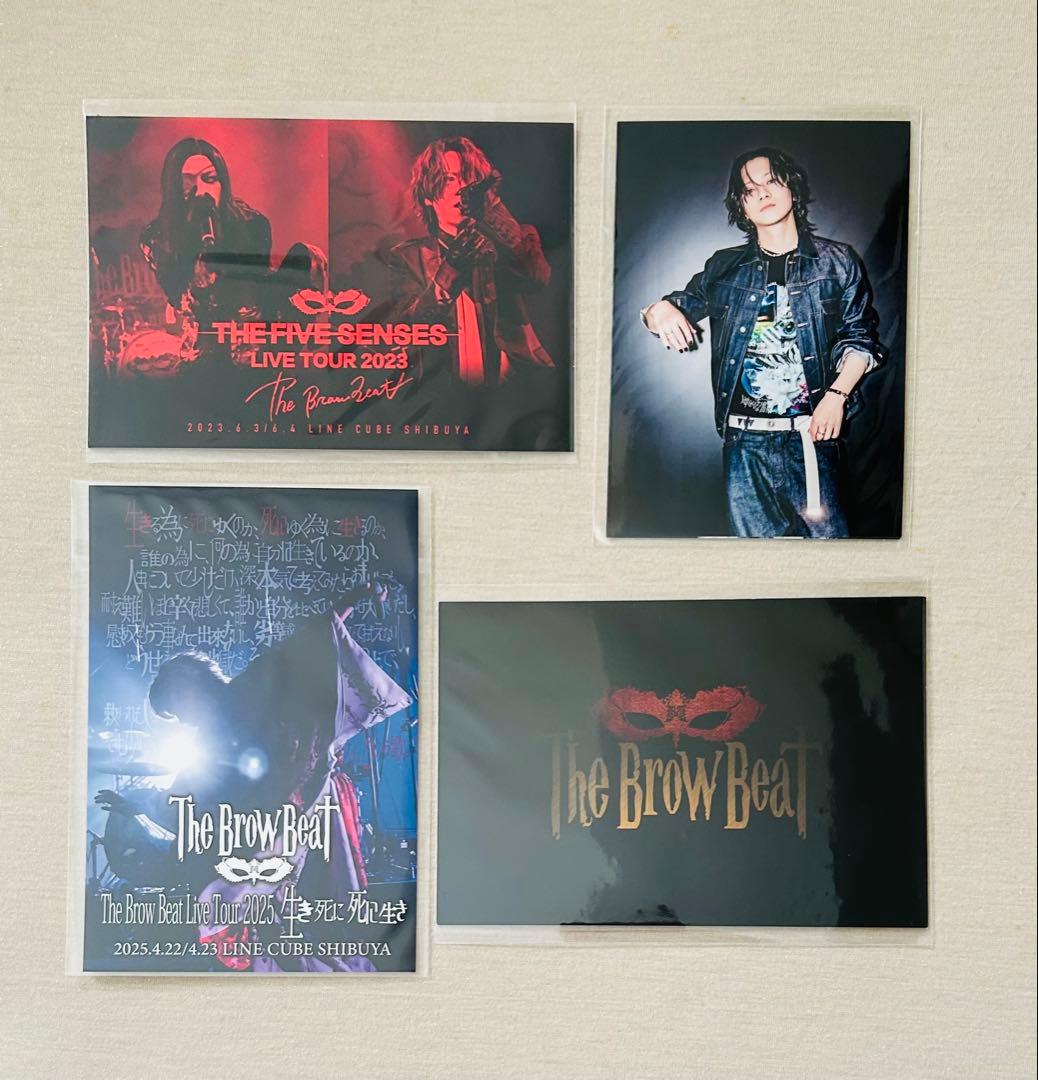 The Brow Beat LIVE DVD 未開封7枚セット
