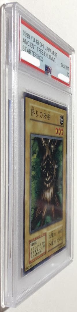 遊戯王 悟りの老樹 PSA10 初期 STARTER BOX【1999年物】