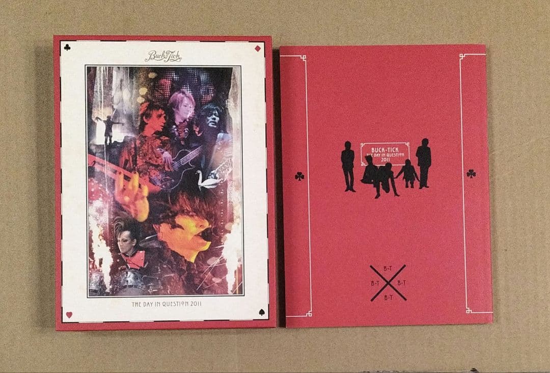 THE DAY IN QUESTION 2011 初回限定盤 DVD 櫻井敦司