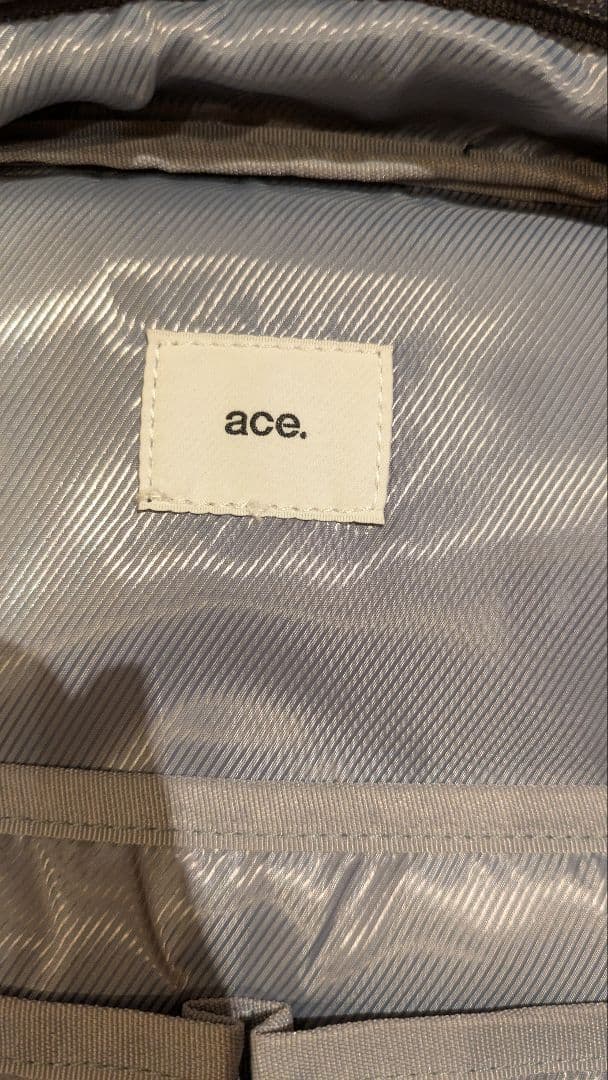 ace.GENE（エースジーン）リュック　ビジネス　レディース