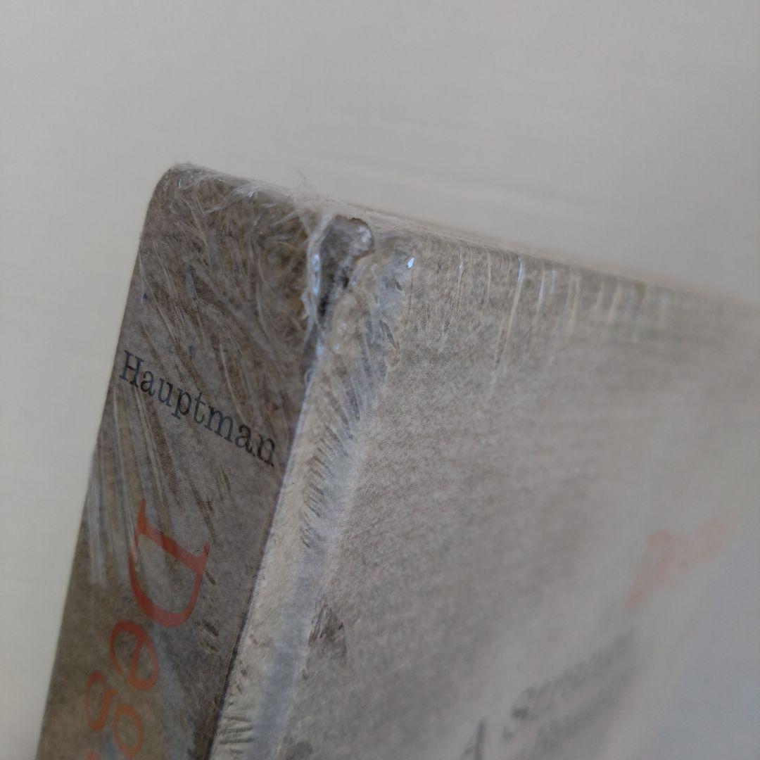 MOMADegasAStrangeNewBeautyエドガードガアート絵画洋書