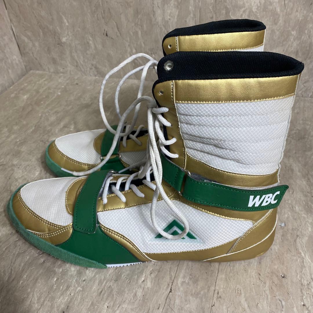 リミテッドカラー Adams アダムス Vプロ WBCモデル US13 31cm