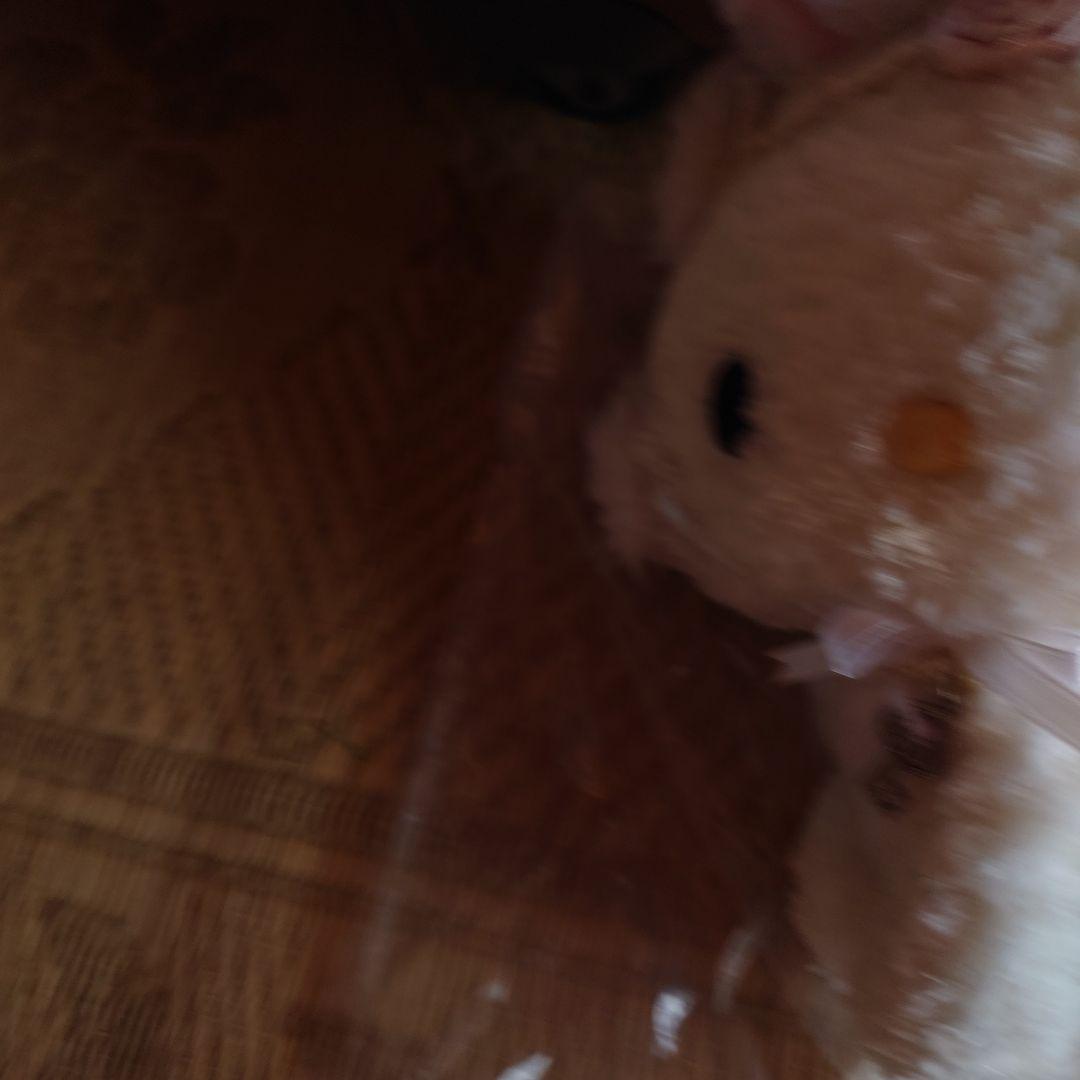 チャーミーキティぬいぐるみ ウサギ耳