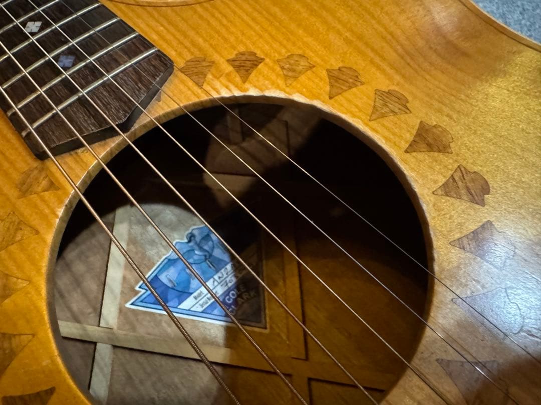 ★Cole Clark AN2AC★