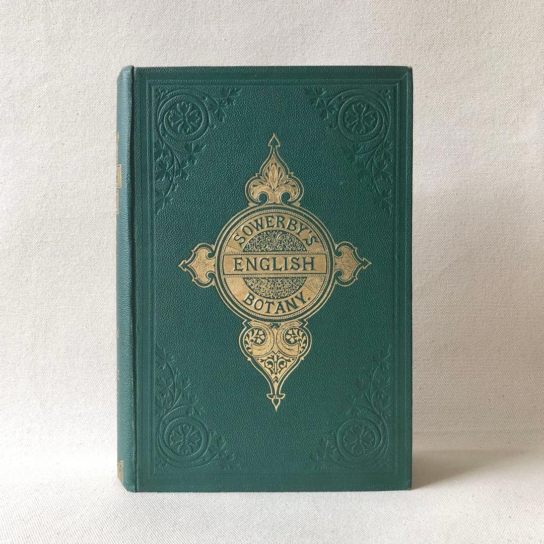 1869年！ 超希少　手彩色160枚　サワビーの英国植物図鑑ＩＸ　アンティーク