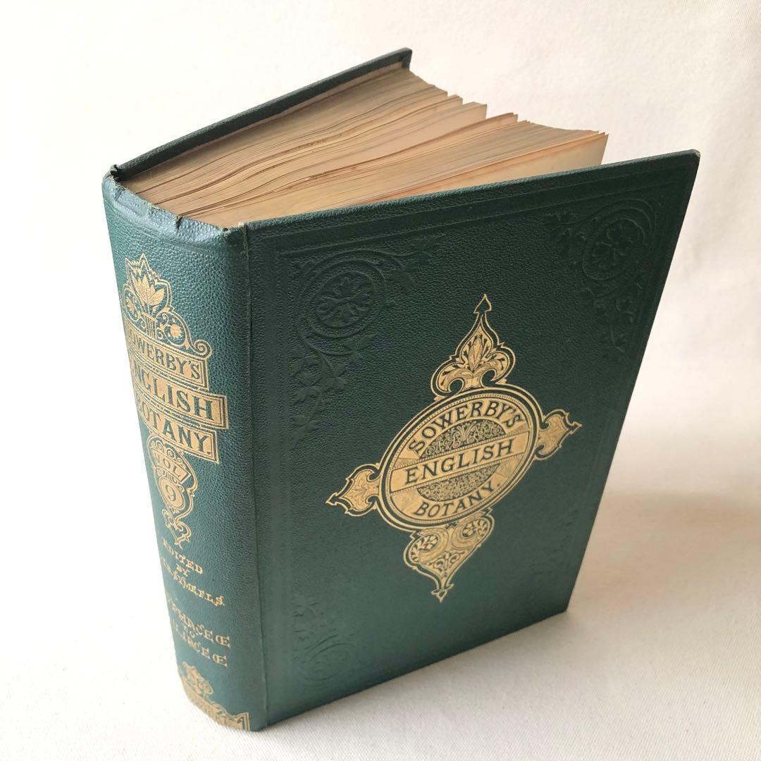 1869年！ 超希少　手彩色160枚　サワビーの英国植物図鑑ＩＸ　アンティーク