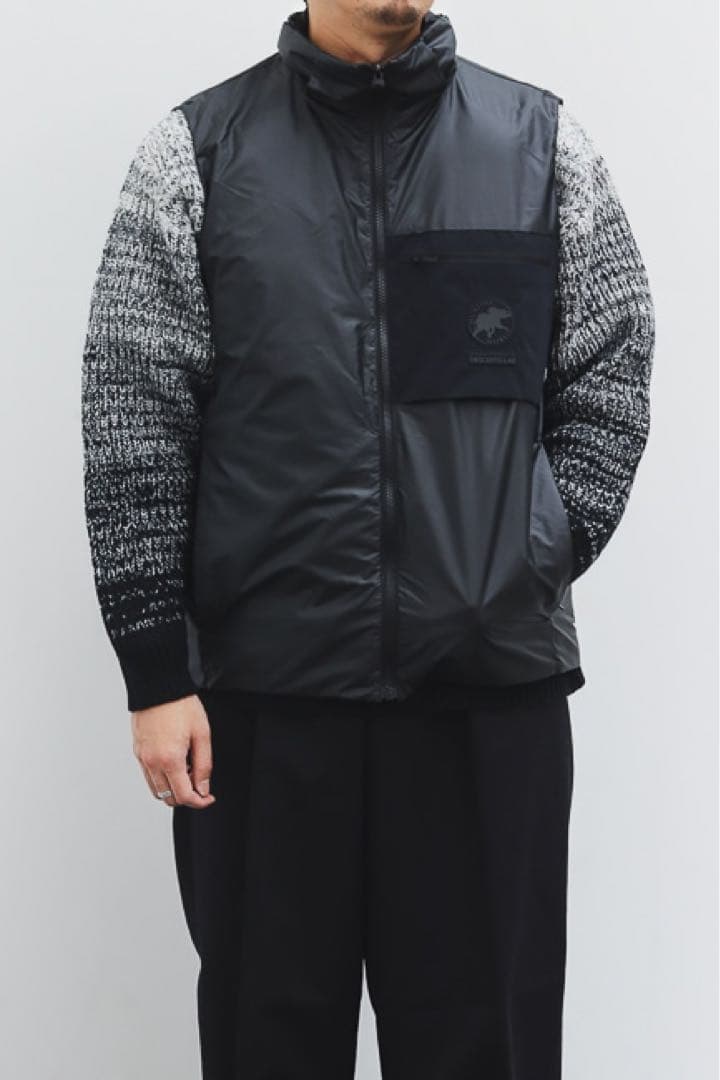 ジャケット・アウター DESCENTE.LAB Alternately Wave Down Vest