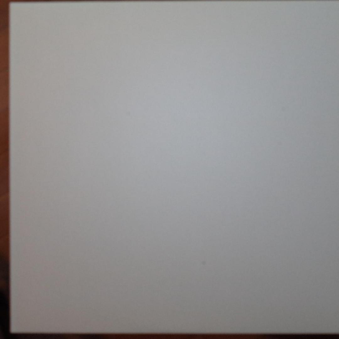 青葉市子 / 檻紙 　レコード ichiko aoba vinyl