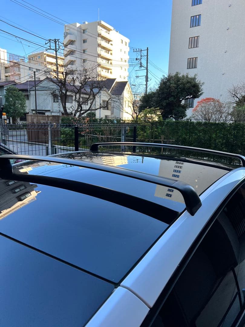 テスラ　モデルY用　ルーフラック