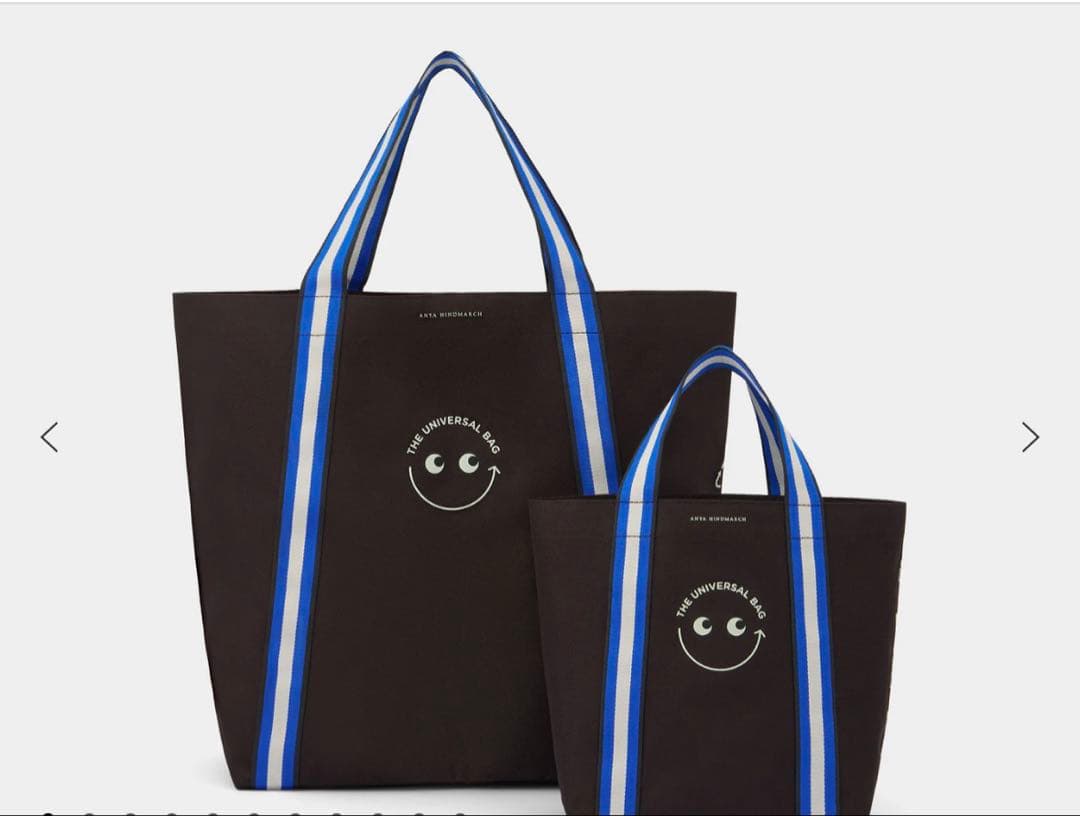 アニヤハインドマーチ⭐︎ユニバーサルバッグ　大小セット