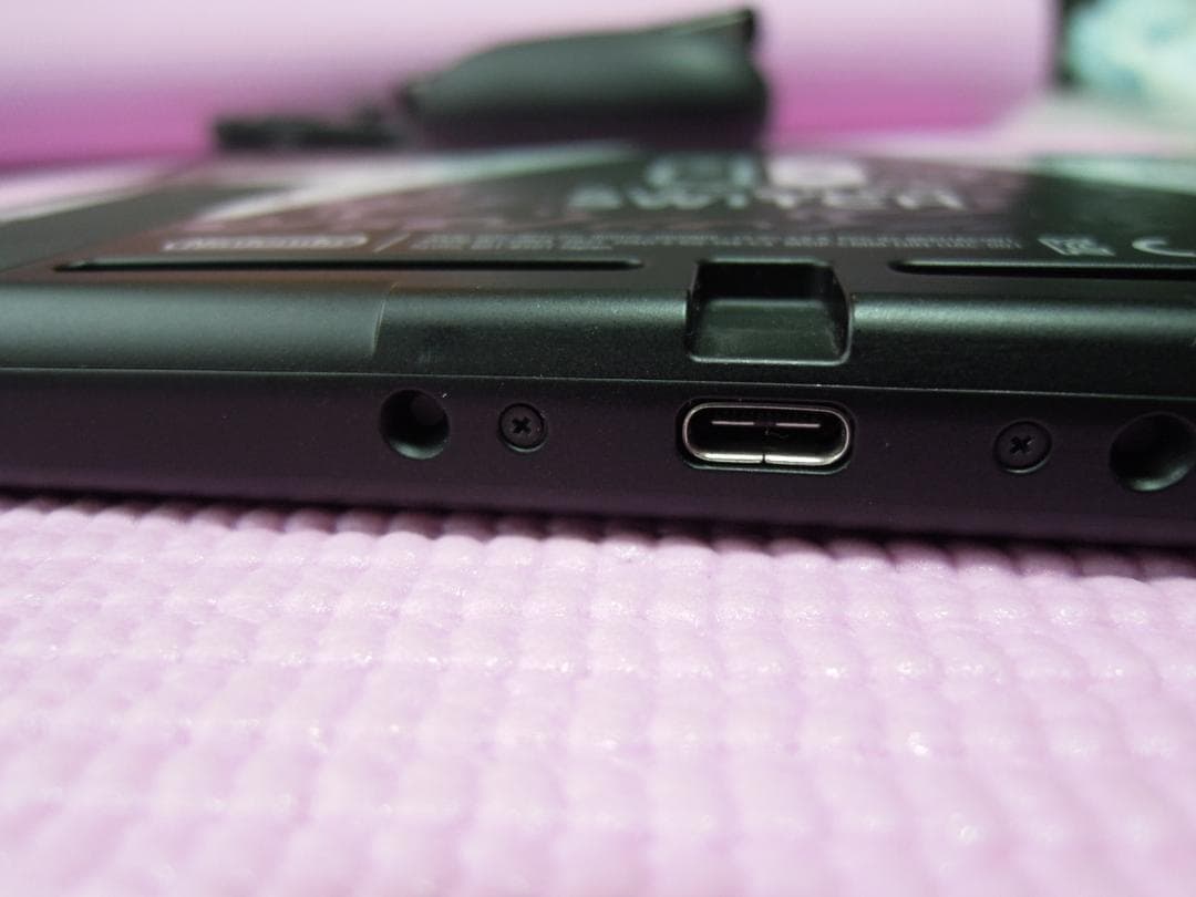 d*7様 Nintendo Switch モンハンライズ スペシャルエディション