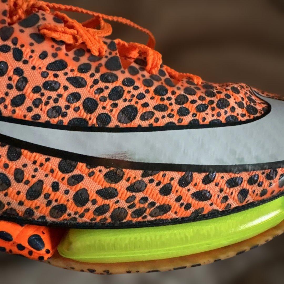 NIKEマックスフライ2パリカラー(27.0)