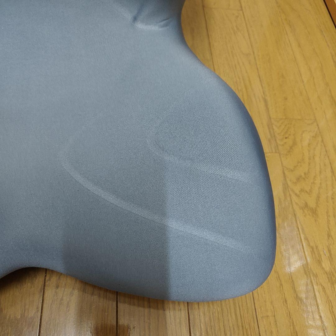 Style PREMIUM スタイル プレミアム【グレー】