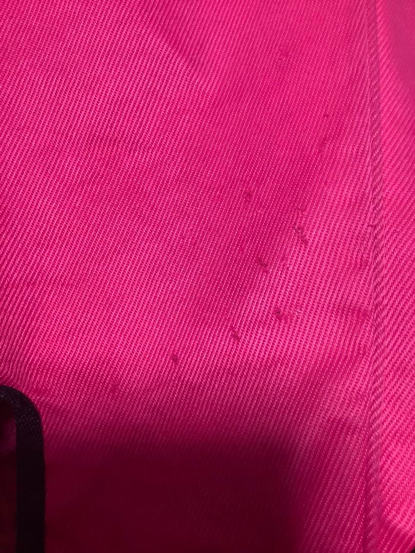 PEARLY GATES スタンドキャディバッグ