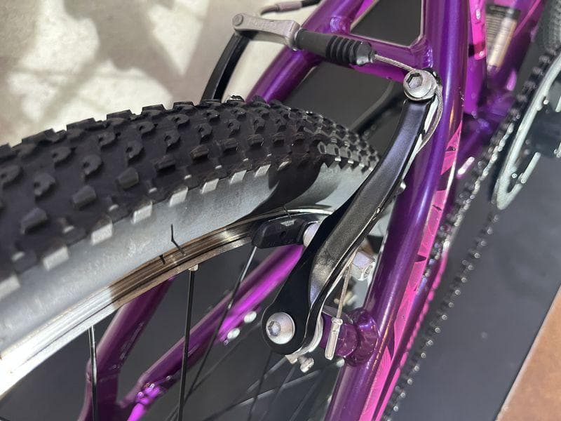 giant LIVパープル 20インチ キッズバイク 6速 Shimano