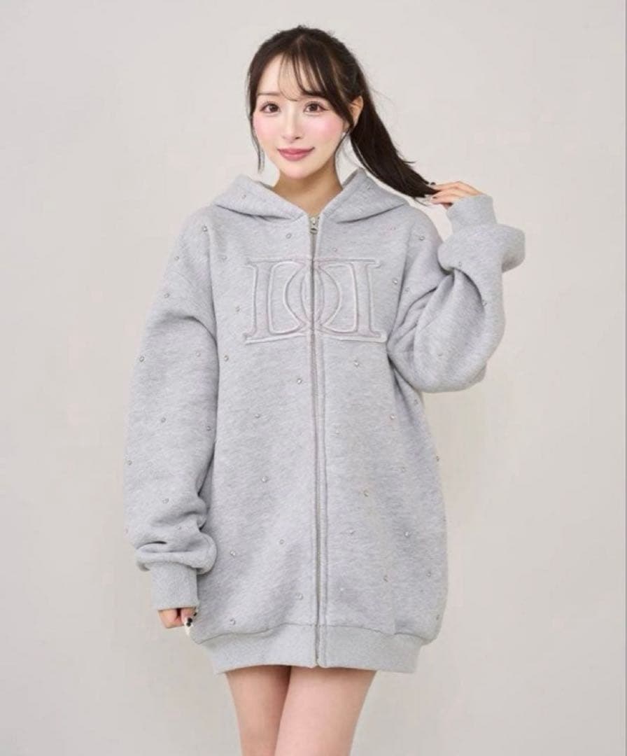 darich DDロゴビジュージップパーカー