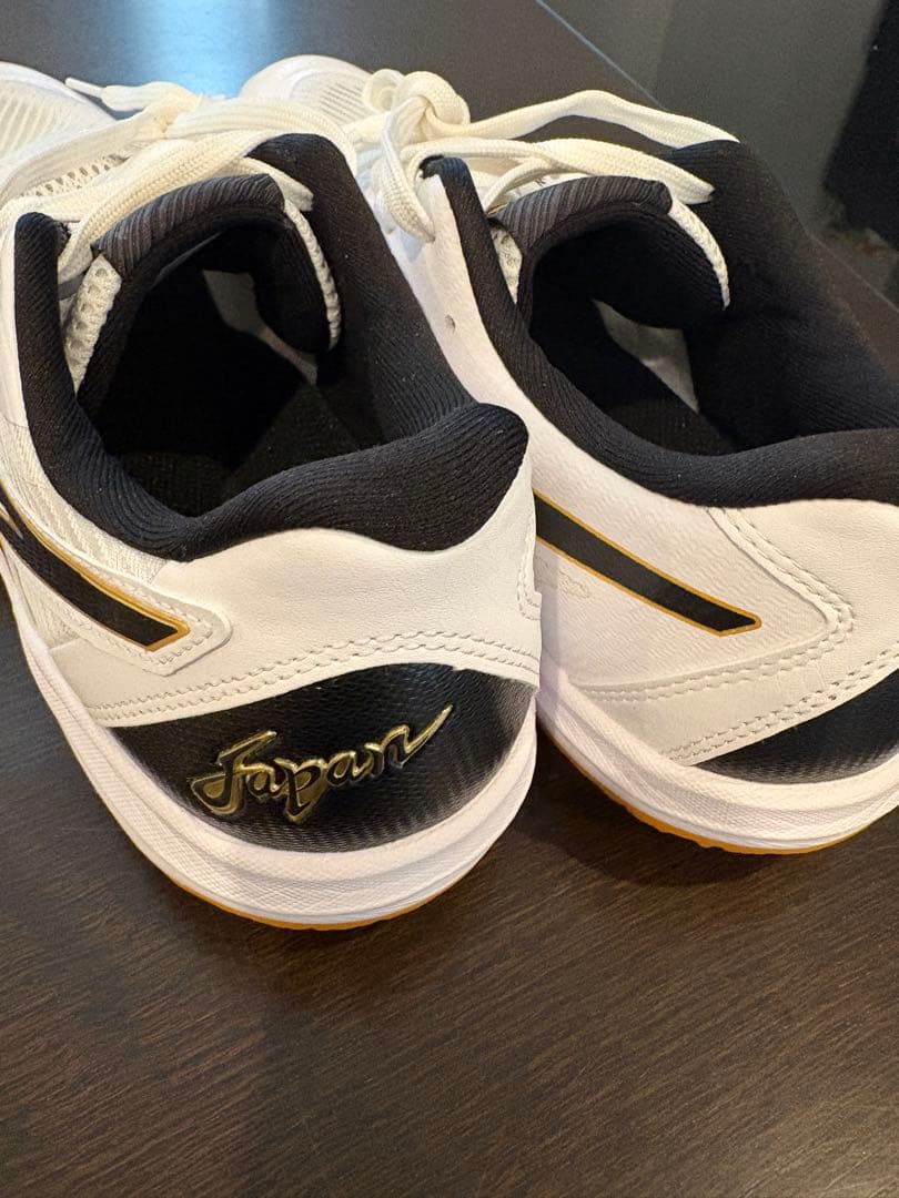 asics バレーボールシューズ ローテJPL3 WB 26センチ