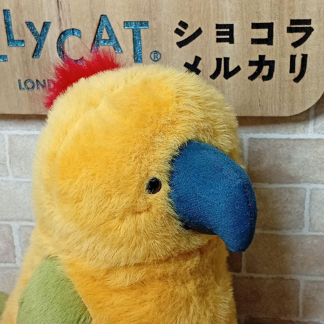 ジェリーキャット インコ 鸚哥  Budgeby Parrot