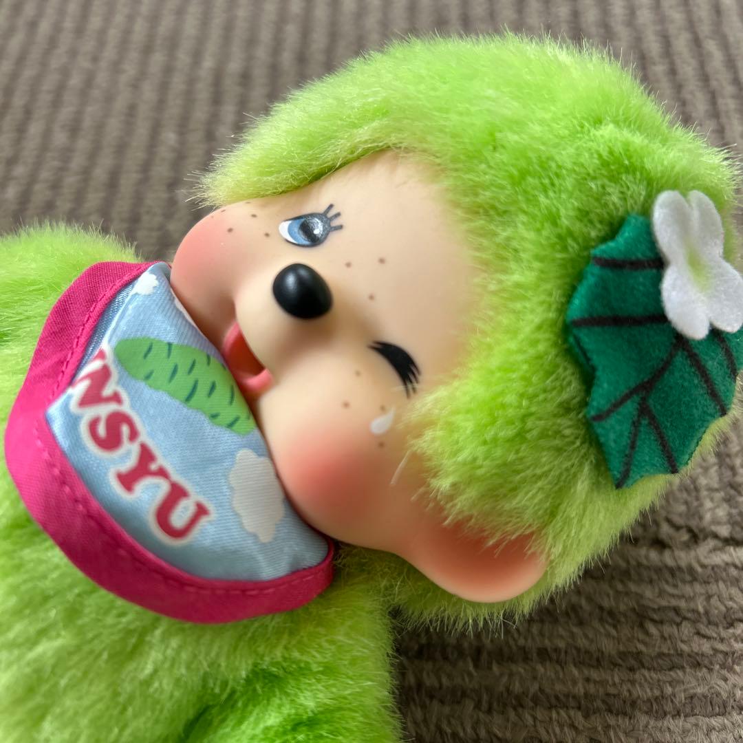 信州限定　わさび　モンチッチ