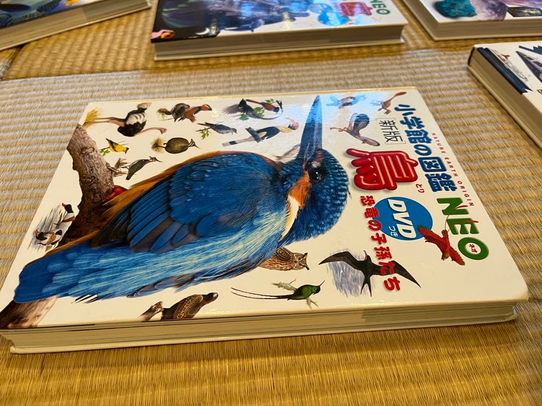 小学館の図鑑NEO 11巻セット