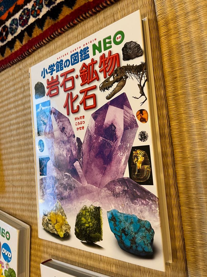 小学館の図鑑NEO 11巻セット