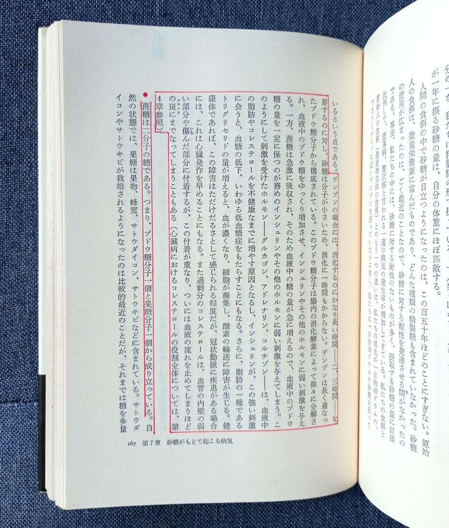 メガ・ニュートリション―スーパー・ヘルスをめざして (現代栄養学の世界 4)