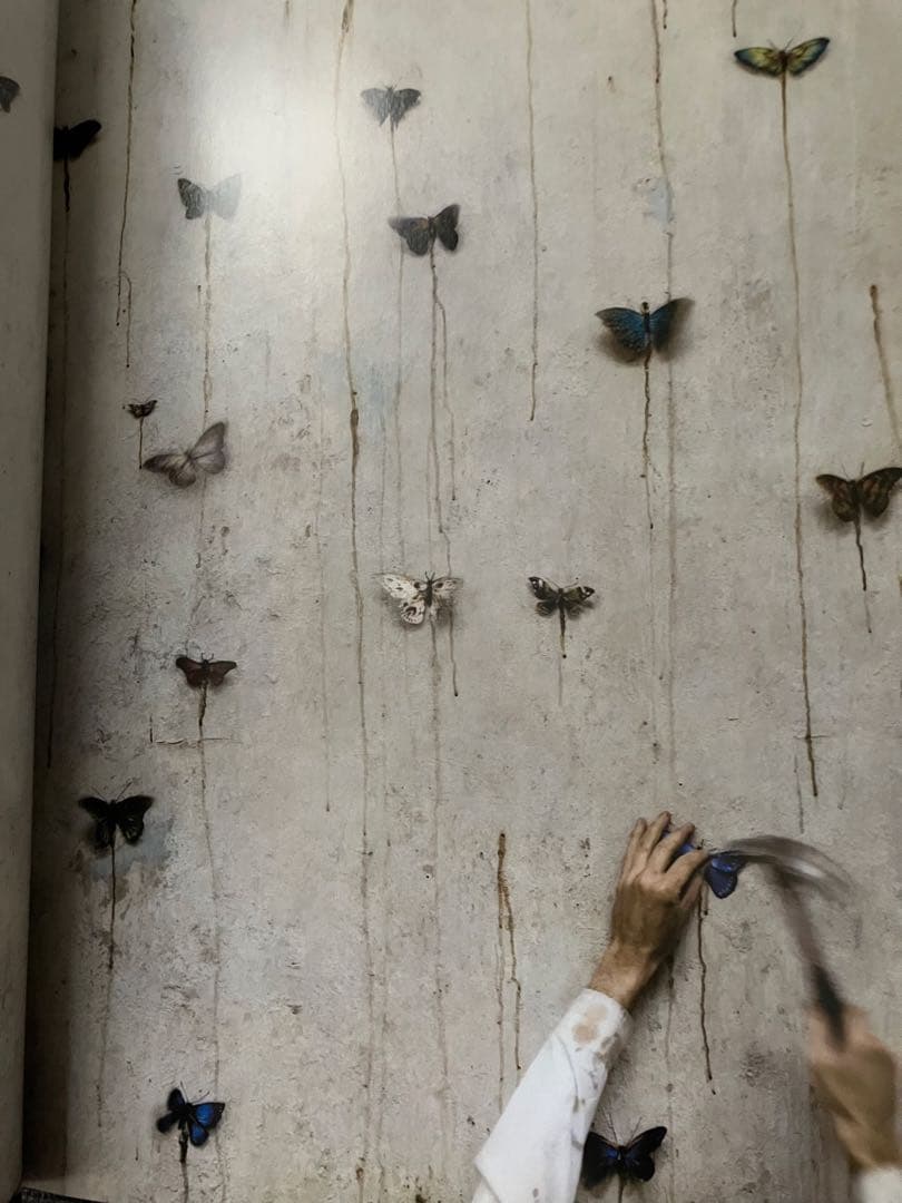 【超レア】counterpoint