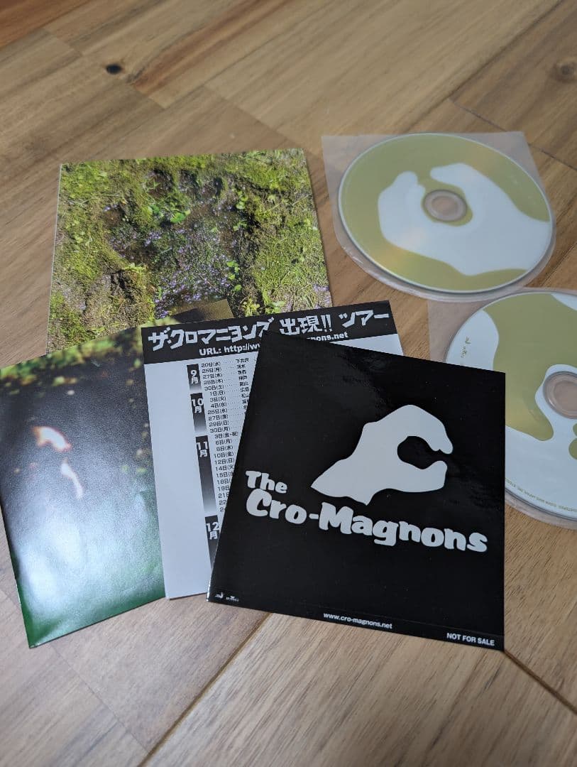 ザ・クロマニヨンズ アルバム シングル9点セット　初回版(2点除く)