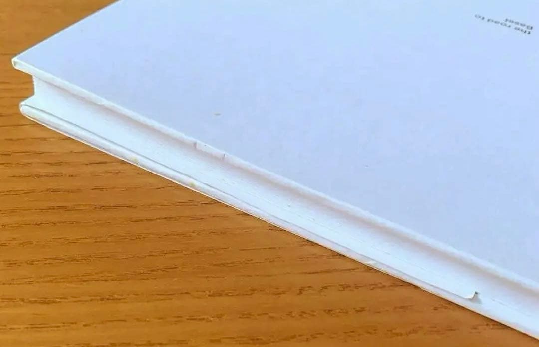 バーゼルへの道　ヘルムート・シュミット