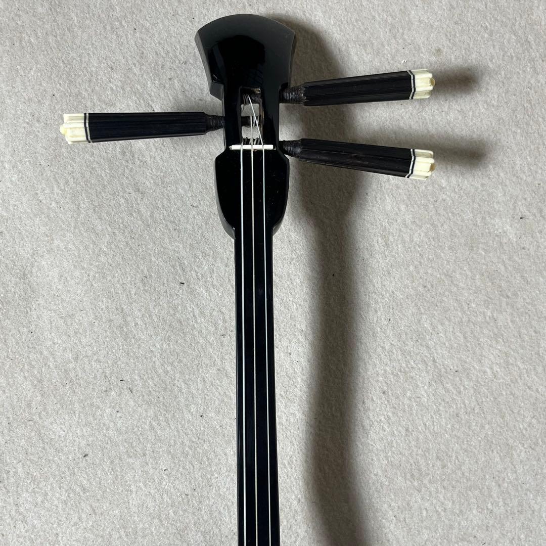 三線 本皮 強化張り 本革 蛇皮 蛇革 沖縄 三味線 琉球 ハードケース