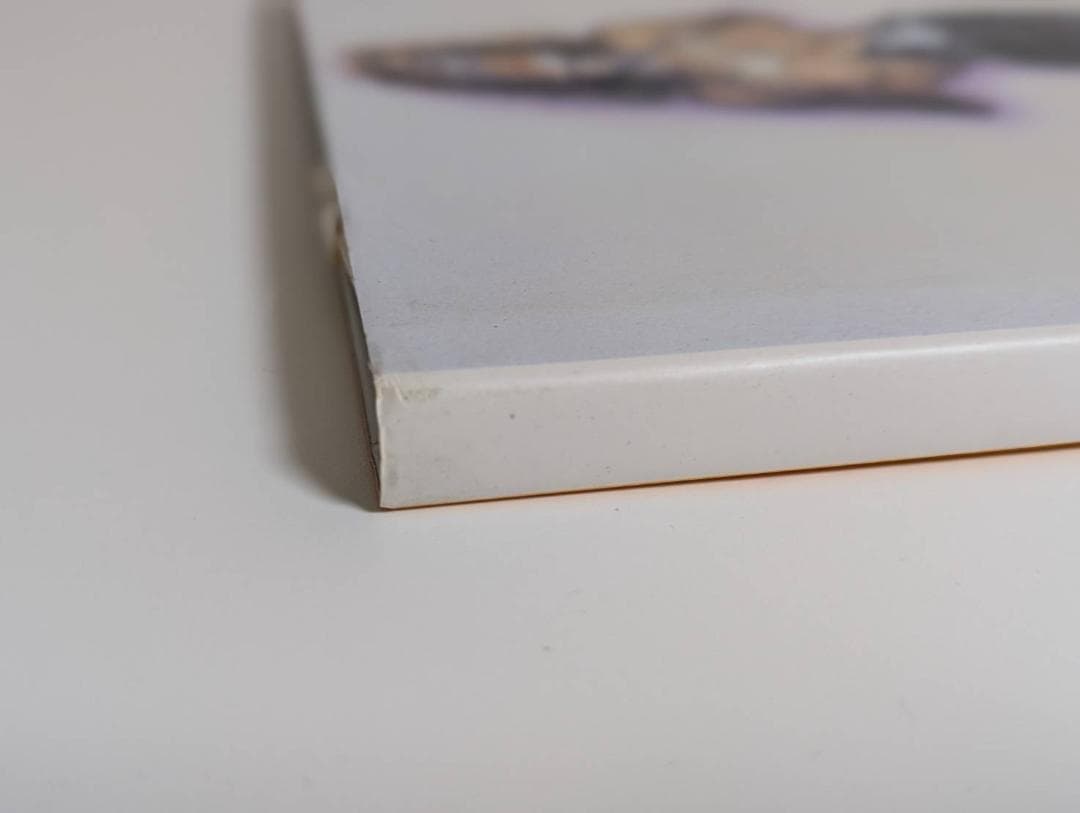 空山基 ガイノイド THE GYNOIDS イラスト集 画集