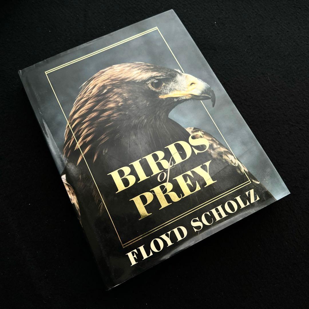 タカ ハヤブサなど猛禽類 写真集「Birds of Prey」フロイド・ショルツ