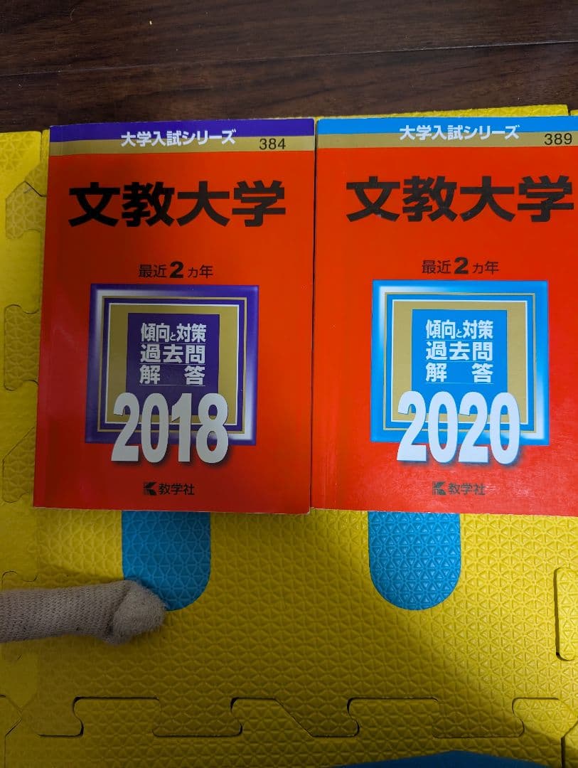 文教大学 過去問題集(赤本・教学社) 2016-2025セット 10年分