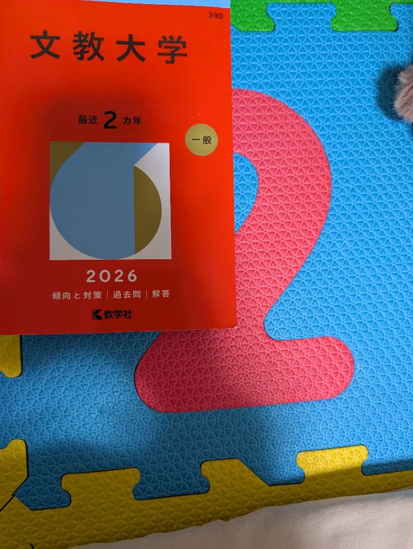 文教大学 過去問題集(赤本・教学社) 2016-2025セット 10年分