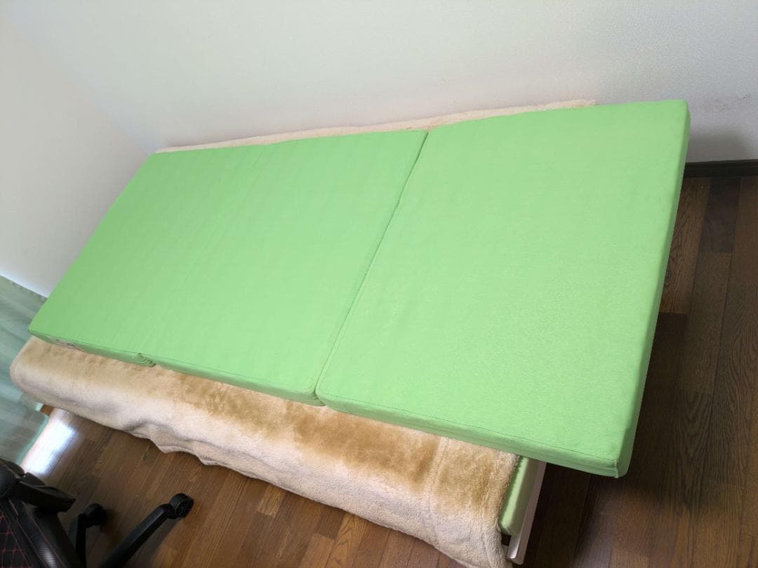 【月内限定価格】あおたけ枕　＋ ヘルスウェーブゴールド