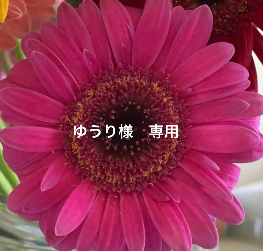 ゆうり アルテマ インフォーム5.5 1000ml