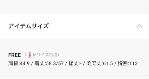 【タグ付新品】オーバーサイズ デニムジャケット ショート丈ダメージGジャン