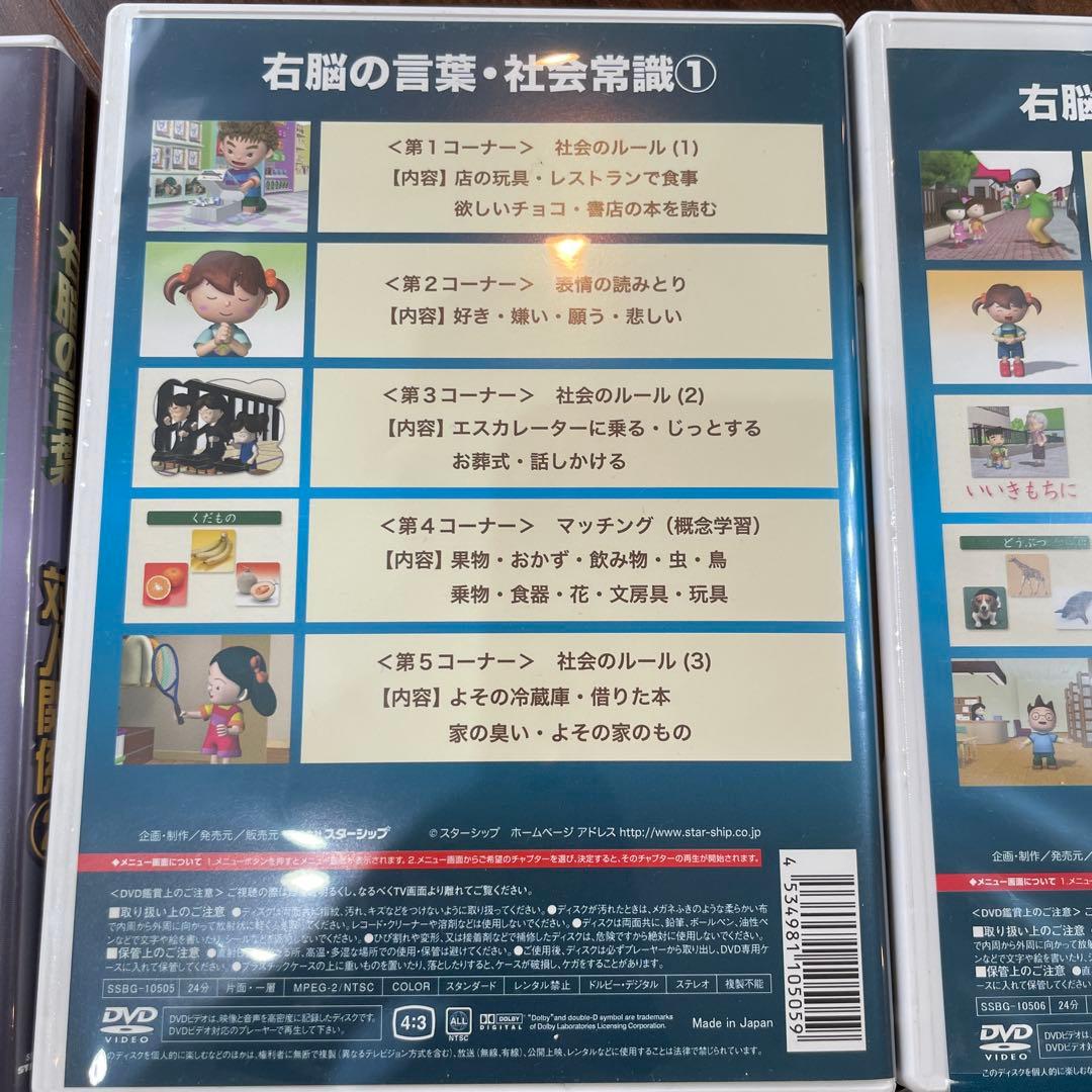星みつる　右脳の言葉シリーズDVD6巻セット　発達教材
