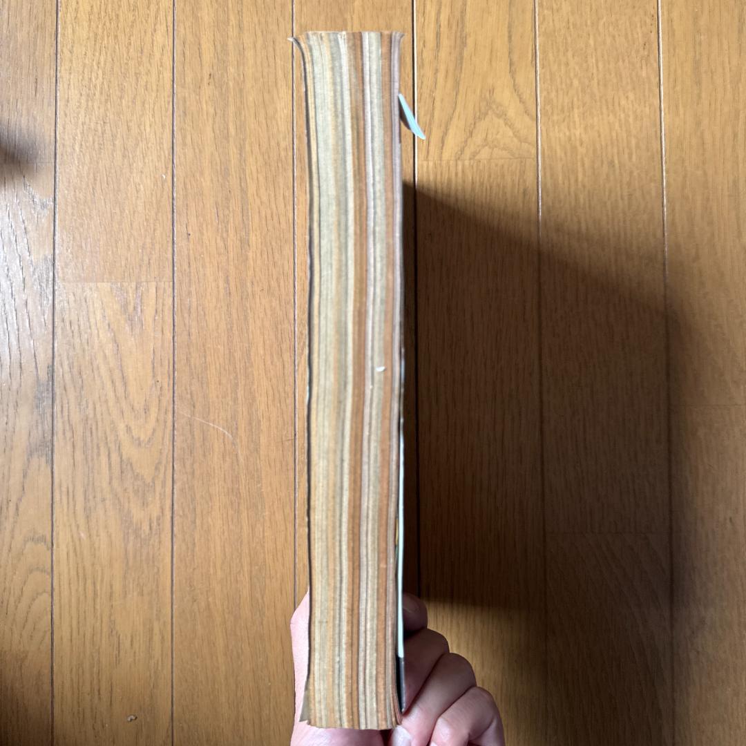 週刊少年ジャンプ 1999年33号 CHILDRAGON創刊31周年記念号