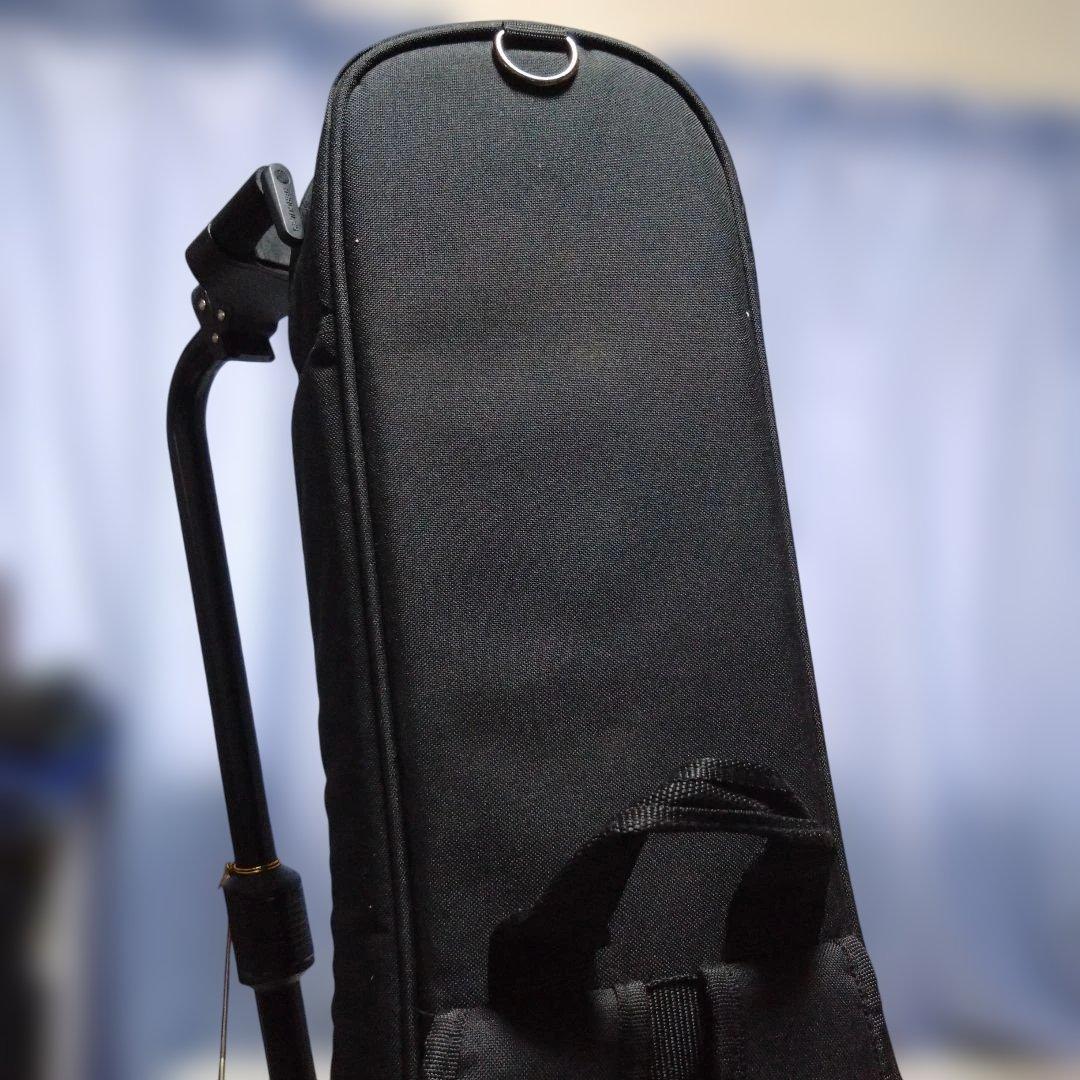 あーりんmama★さん用YAMAHA CSF3M エレアコ 専用ライトケース付