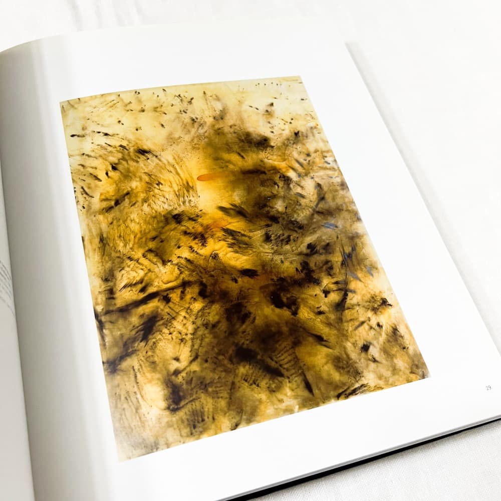 Sigmar Polke/ シグマー・ポルケ, Paintings 作品集.