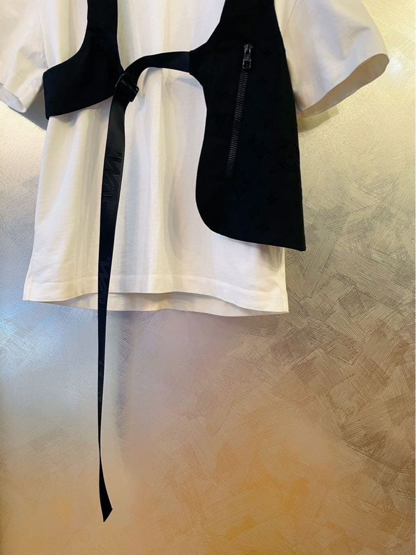 最終価格！ LOUIS VUITTON モノグラム　ベスト