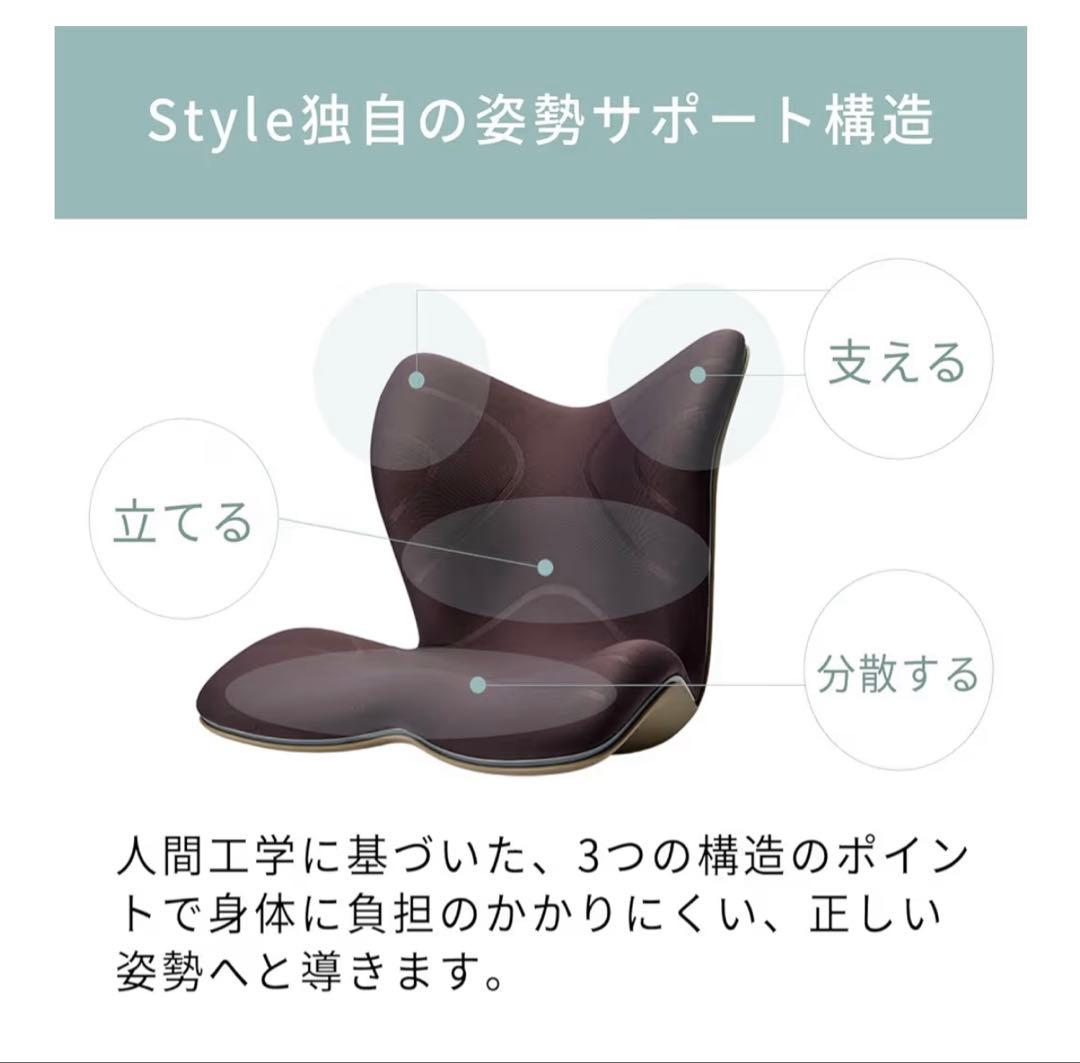 Style PREMIUM Series MTG サポートクッション ネイビー