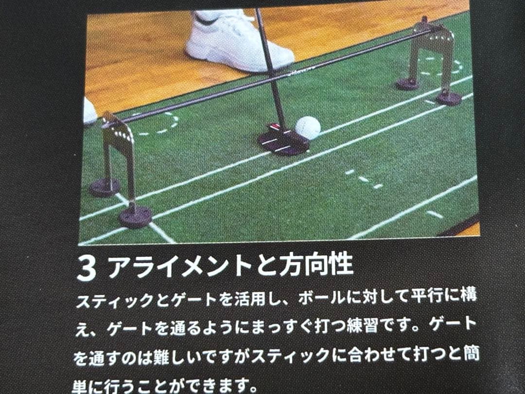PuttOUT ゴルフ練習用具 パッティングプレーン アライメントスティック